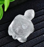 سلحفاة الكوارتز -   للبقاء والتجذر والاستمرار طويل الأمد