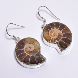 Ammonite Gemstone Earrings- حلق  حجر الامونايت